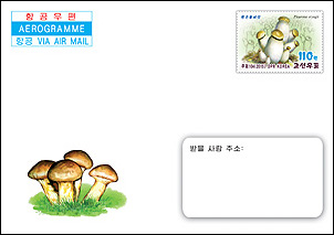 Ea95.jpg