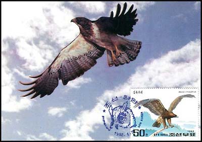 Mx126.jpg