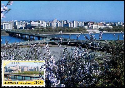 Mx143.jpg