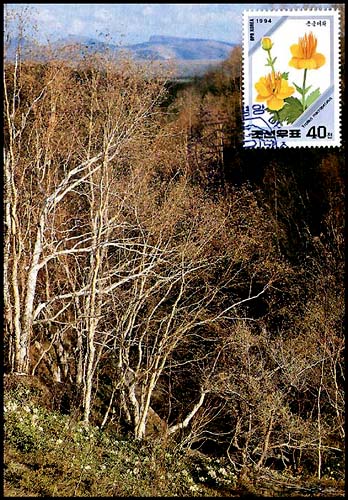 Mx182.jpg