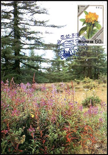 Mx184.jpg