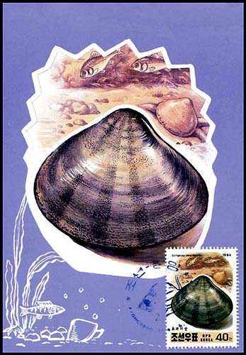 Mx191.jpg