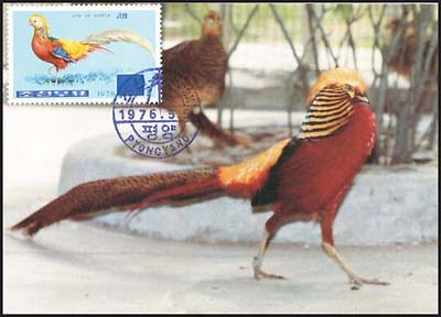 Mx20.jpg