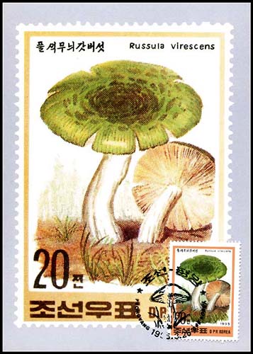 Mx202.jpg