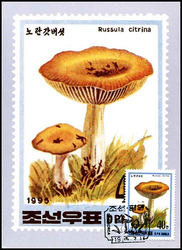 Mx211.jpg