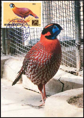 Mx24.jpg