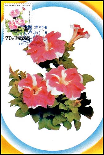 Mx272.jpg