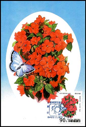 Mx273.jpg