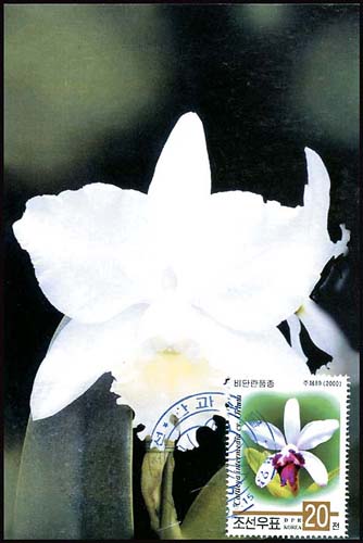 Mx277.jpg