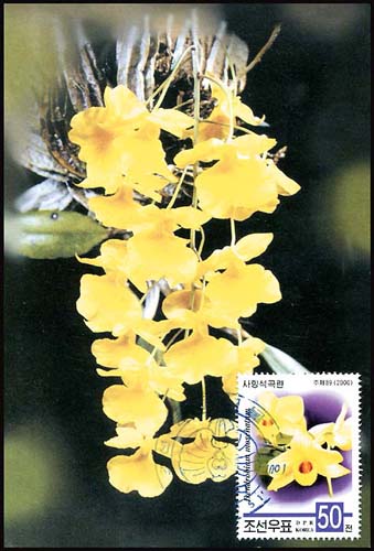 Mx278.jpg