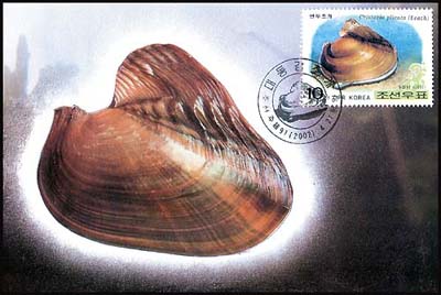 Mx299.jpg