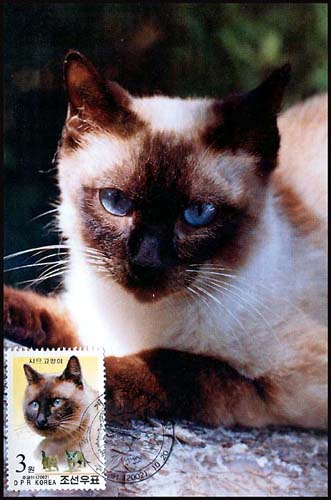 Mx308.jpg