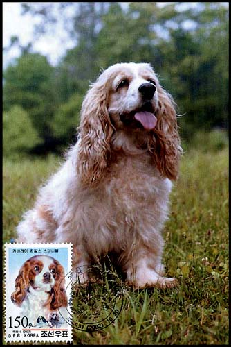 Mx311.jpg