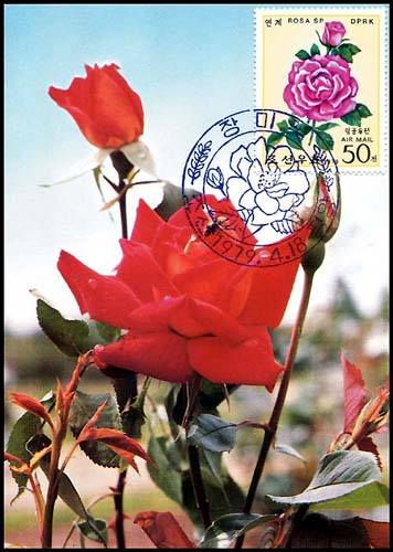 Mx36.jpg