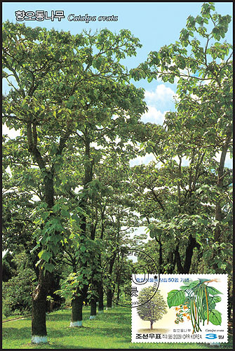 Mx364.jpg