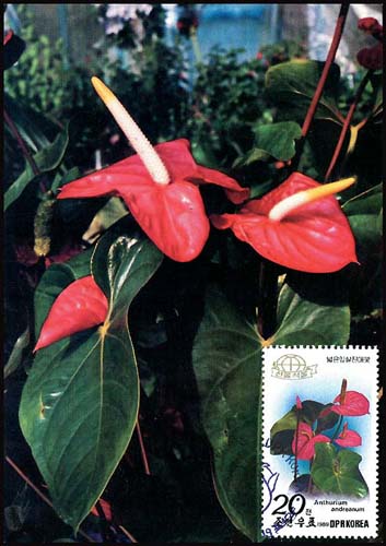 Mx84.jpg