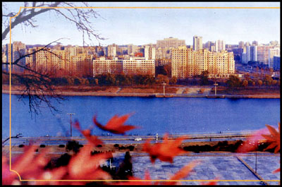 Ps520.jpg