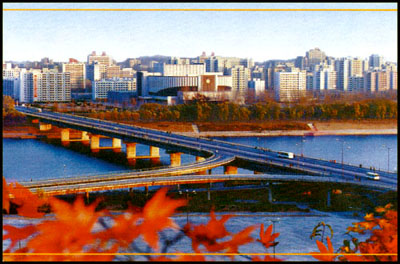 Ps521.jpg