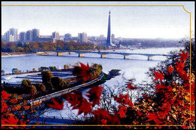 Ps523.jpg