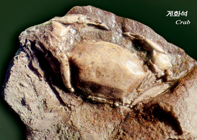Ps673.jpg