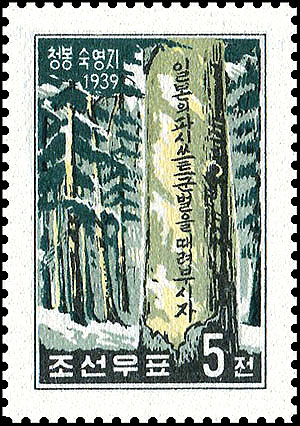 Sp228.jpg