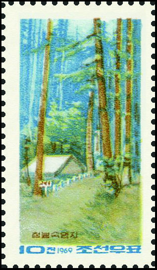 Sp975.jpg